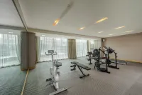 Libo Qingxuan Hotel - gimnasio