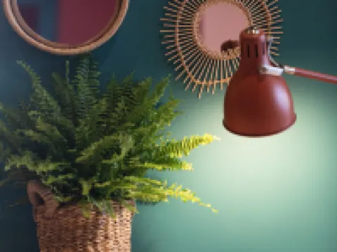 保羅與皮亞溫馨之家飯店（隸屬於Stay Collection） 科爾馬酒店