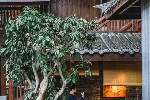 Chongqing Meixizai and Oriental Aesthetic Design Resort Hotel (Laojundong Branch)