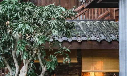 Chongqing Meixizai and Oriental Aesthetic Design Resort Hotel (Laojundong Branch)