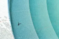 Fuxing Yihaoyuan Hotels in Changhai