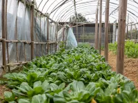 Wuyuan Yanyanju | Parent-child picking · Zhou-side fishing·Haven homestay