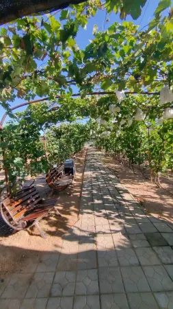 Changli Huaxia Manor Hotel