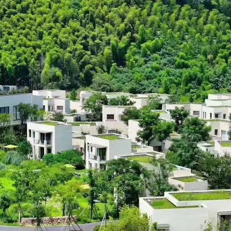 Blossom House Changxing