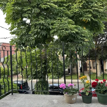 多倫多市中心楓林苑小居 鄰近多倫多羣島的酒店