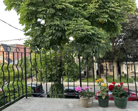 多倫多市中心楓林苑小居 多倫多酒店