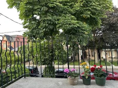 Maple Grove Cottage 토론토 니크로폴리스 주변 호텔