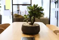 B&B Hotel Epernay Hotels in Boursault