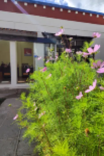 Ningduole Light Luxury Courtyard Resort Villa (Dukezong Ancient Town Branch)