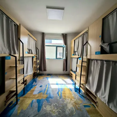 Koala Capsule Chinese Inn