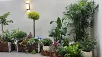 Xiangwang Courtyard Homestay (Guilin Railway Station Too Square) - 애견동반