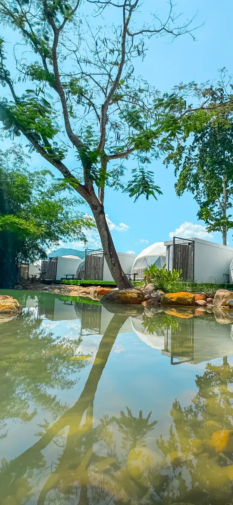 เดอะ ชะมวง โดม