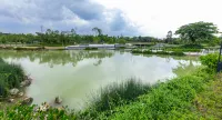 Signature House at Elmina City by HCK - Mountain View