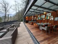 Qingcheng Mountain Villa · Hot Spring Holiday Villa - Barer