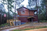 Peach Blossom Island Wild Luxury Homestay Hotels in Majiang