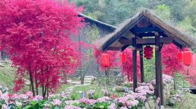 Yunbingshan Xiangjiangyuan Inn