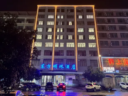 Wugang Oriental Pearl TV Tower Отели в г. Уган