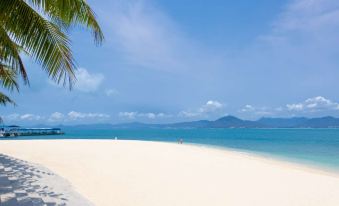 3. Sanya Co..