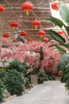 Dunhuang Blue Joy Hotel