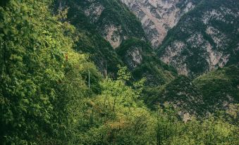 Guiqing Impression · Qingwa Lodge Homestay