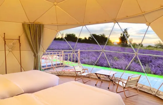 霍城石磨民宿（解憂公主薰衣草農場店）