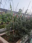 Changxing Sian Yiju Life Hotel - palestra