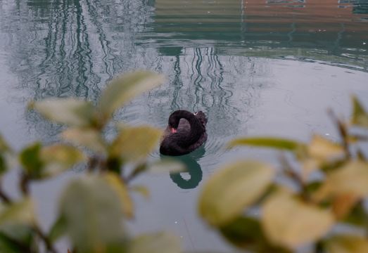 탕雀溪私汤睡眠民宿 주변 관광지