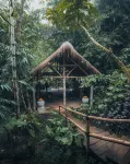 Munduk Moding Plantation Nature Resort  Hotel dekat Patung Buddha Tidur Pupuan Tabanan