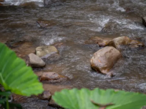 อินทะดา โรงแรมในอำเภอ แม่ออน