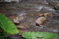 Inthada at Mae Kampong