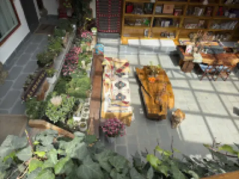 Laoxiong Home·Life Light Luxury Holiday Oxygen Supply Meisu