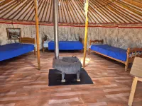 1000 Starlight Steppe Camp Hotels in Erdenesant