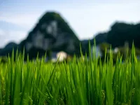 Xingyi Pinfengmingshuwanfeng - vue sur la montagne