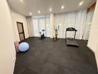 Vienna Hotel (Nandan Dongtian Jiuhai Scenic Area Jinfurong Square Branch) - Gym