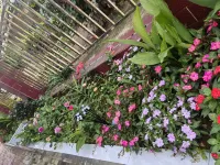 Ouman Homestay (Wuming Damaoshan Park) Hotels in Wuming Area