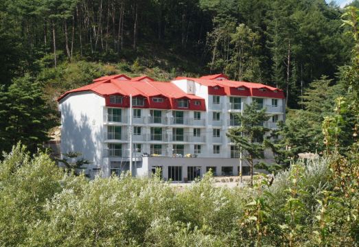 숲사이길 산책로