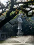 Yongyanfulinhotel - pemandangan pegunungan
