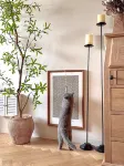 Danying Homestay (Luoyang Luoyi Ancient City Branch) - que admiten mascotas