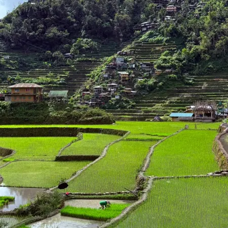 Batad Cristina's Main Village Inn and Restaurant