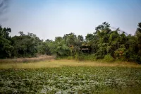 Tree House Hideaway - Homestays