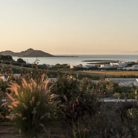 Ovea Paros