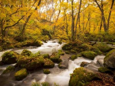 ホテル周辺 星野リゾート 奥入瀬渓流ホテルの写真