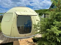 Ergunashiwei Traveller Tribe Boutique Homestay