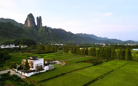 MOUNTAIN FIELD  FLOWER HOUS