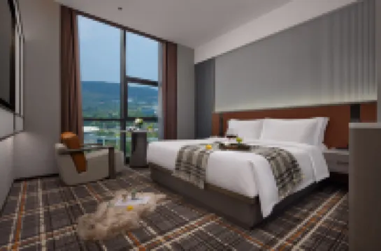 Wyndham Garden Wuhan Optics Valley Hotel