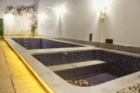 Longmen Nankunshan Baiyingju Holiday Homestay - สระว่ายน้ำส่วนตัว