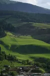 瓊庫什臺溪與杉民宿 - 絶景
