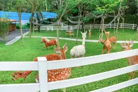 Yunqi Chengyin Valley Camp Hotels near Pinghu Railway Station