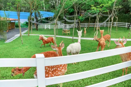 Yunqi Chengyin Valley Camp Отели рядом с достопримечательностью «ShunPing BuXingJie»