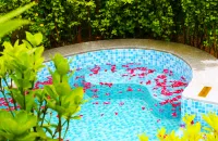 รีสอร์ทน้ำพุร้อนมิชูซิเย่เมาน์เทนเฮาส์ - น้ำพุร้อน